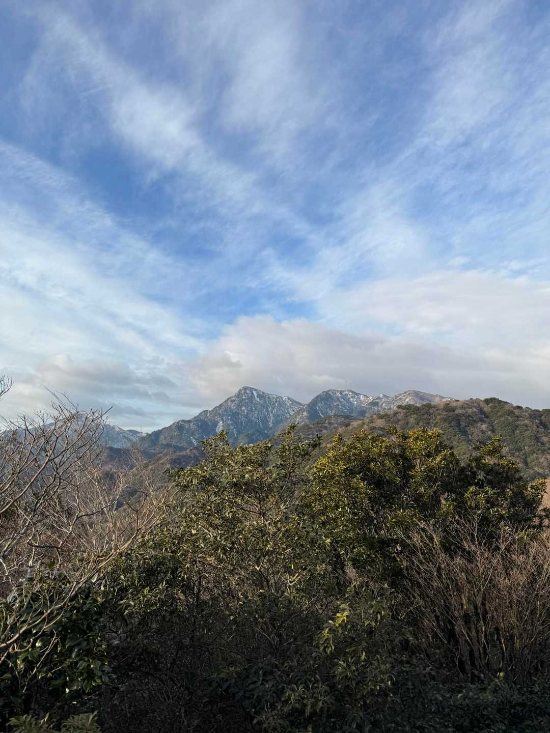 ネコ最高点-ネコ-笠岳-菰野富士 周回コースの写真