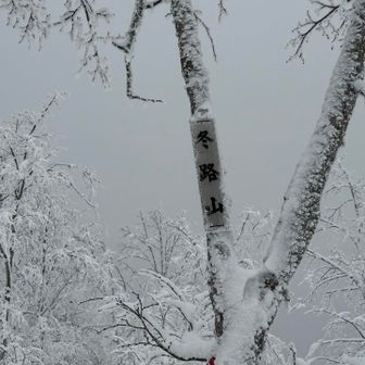 冬路山登頂