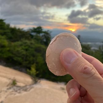 旅行の間に賞味期限の切れた卵をゆで卵にしてきました