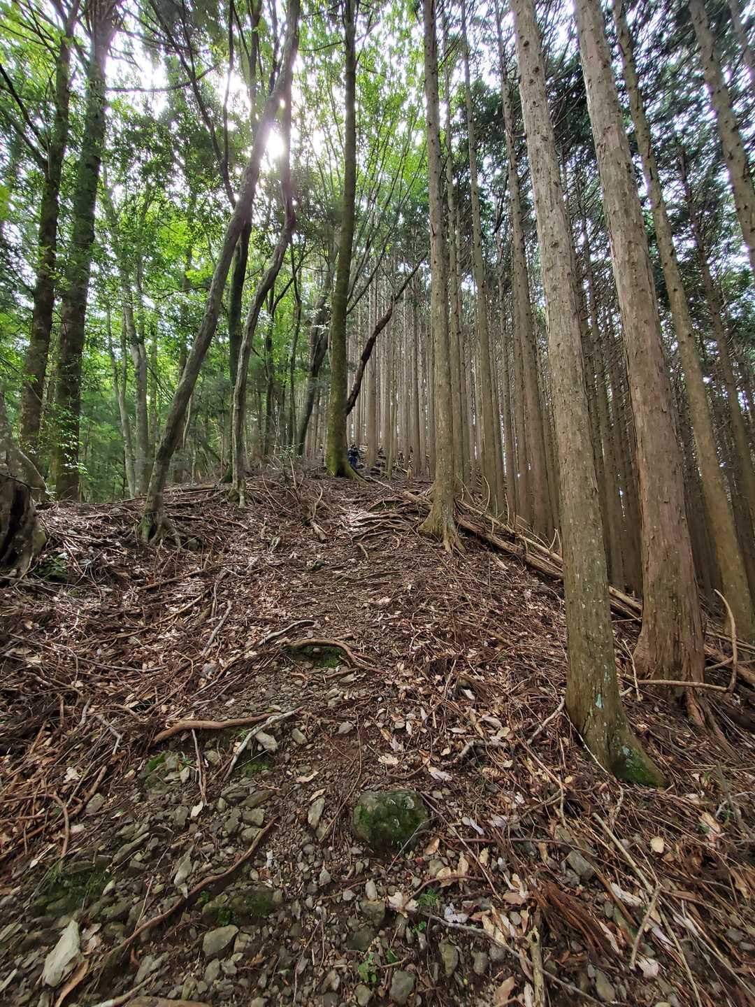 登る