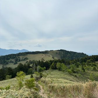 下山開始
箱岩山から見る白草山