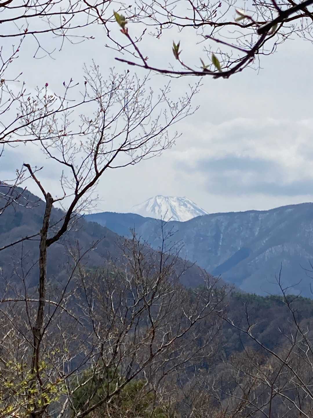 富士山は頭だけ