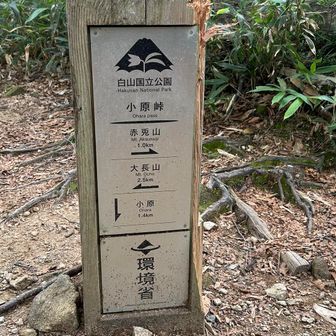 小原峠まで来ました。まずは大長山目指します。