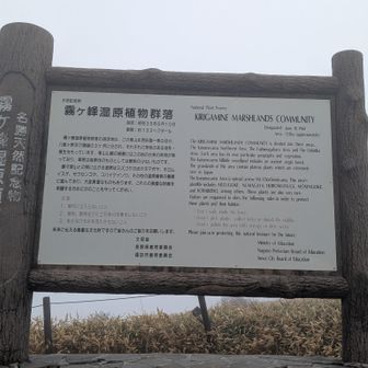 霧ヶ峰湿原植物群落　看板🪧