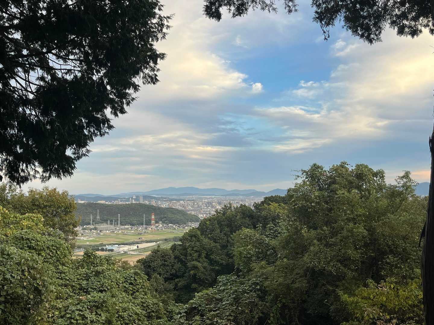 いいねー