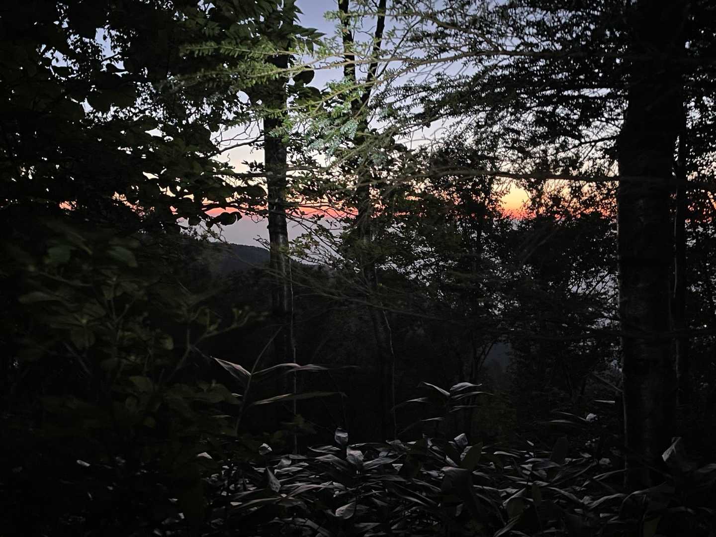 でね
避難小屋の手前でご来光TIME🌅🤩

明るくなって安心はしたけど😮‍💨
今日はほどほどの暑さでヨロシクSUN🤗