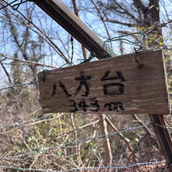 本日最高峰八方台