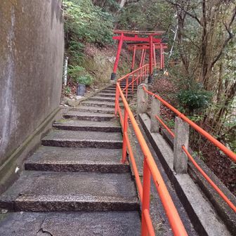 登りやすい段差階段、サクサク進む…ソロだとペースつくりやすい。
