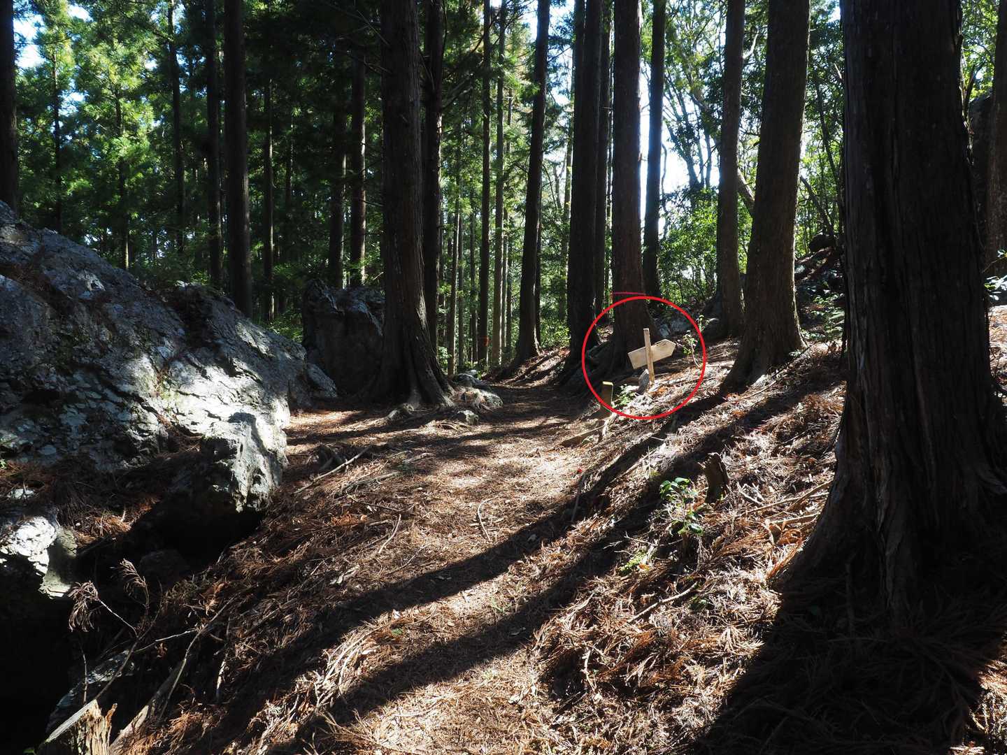 北谷三角点と産屋谷の分岐まで戻る