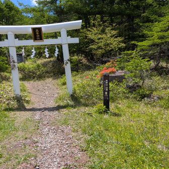 高峰山にも登ります
