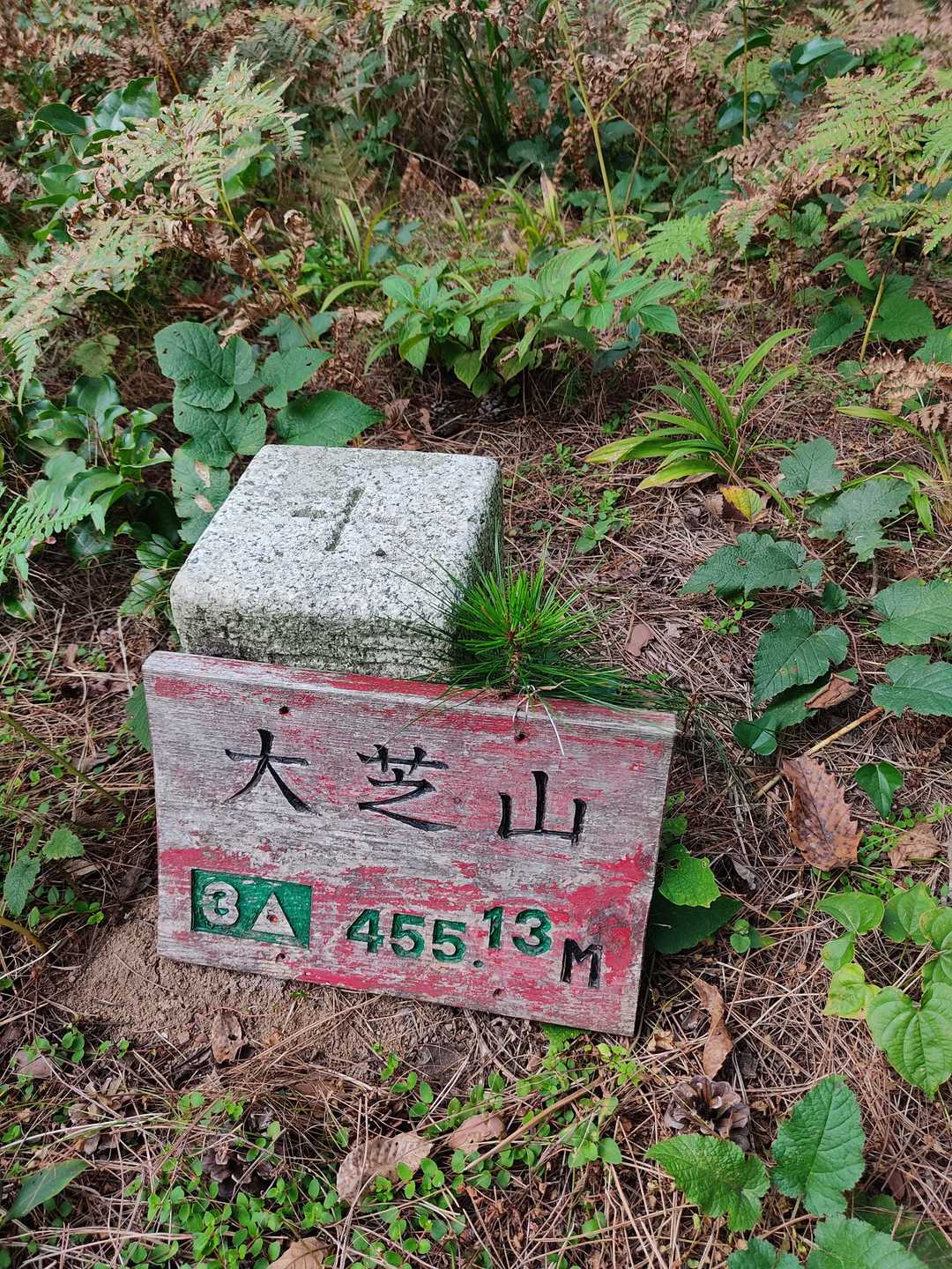 455mけっこうあるんですね