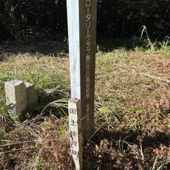 素直に来れば早かった