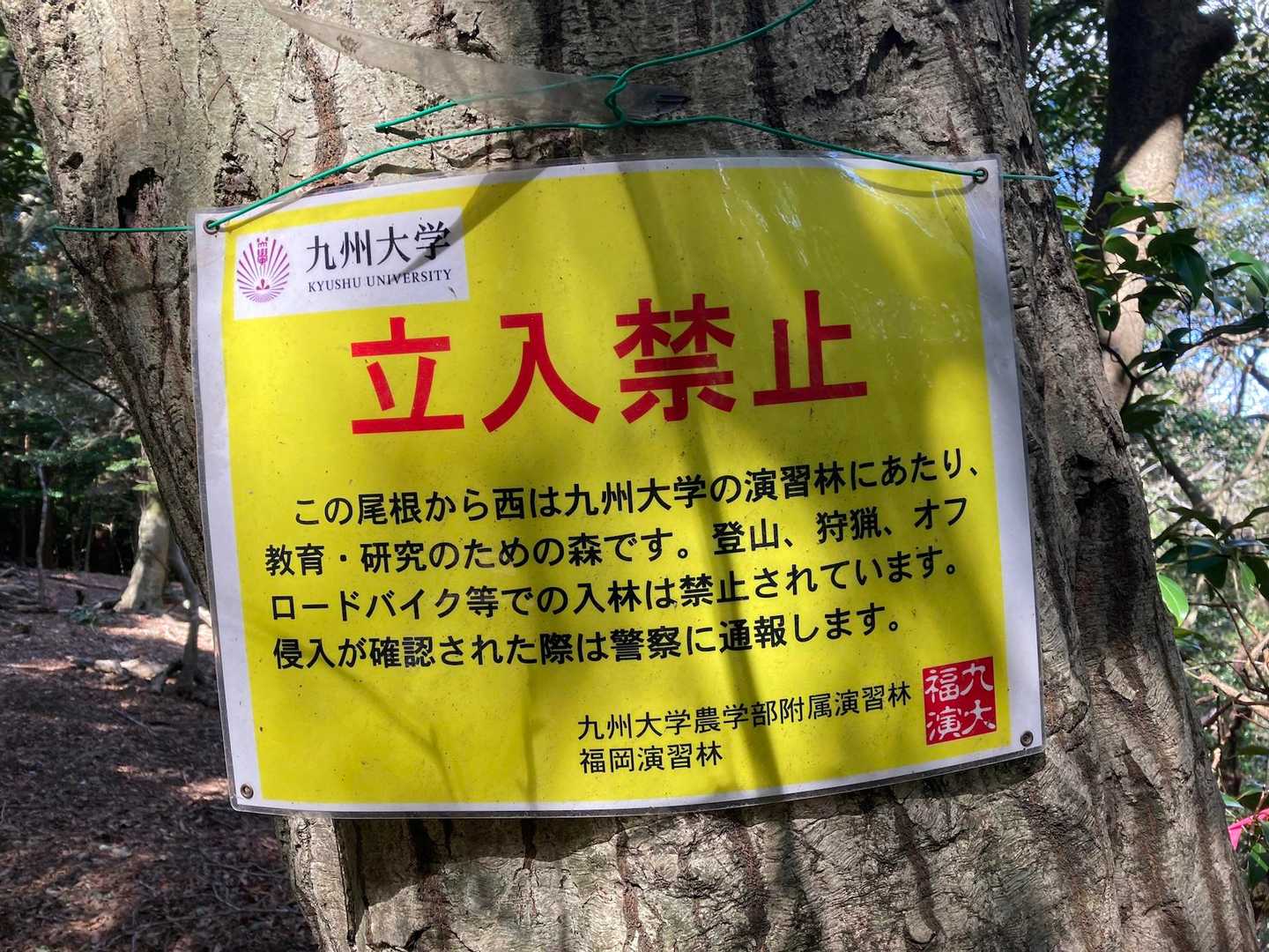 少しだけ敷地内に入ればグレピ🩶１つ🙄

いやいやルールは守りますとも🙂‍↕️