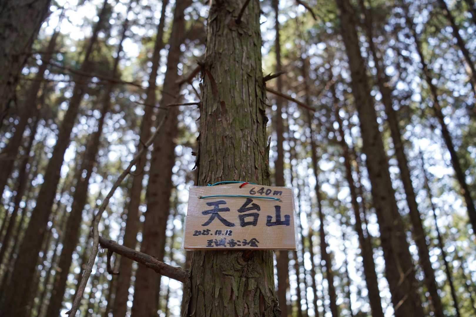 吉川峠-青貝山-天台山-光明山-妙見山 周回コースの写真