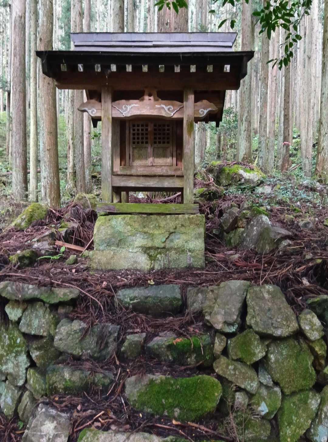 安全に歩ける様お参りしたのに暫くして早速捻挫😢