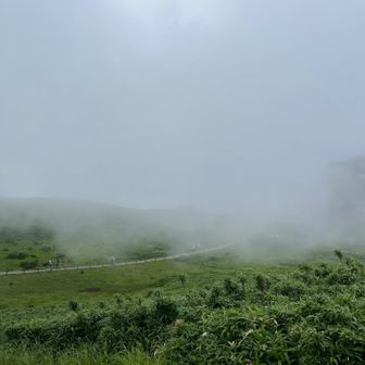 突然モヤが芦ノ湖方面から押し寄せる