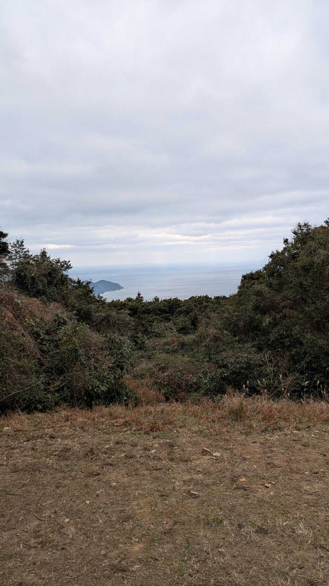 休み休み
やっとこ頂上〜
沖ノ島バッチリ👍

で記帳しようと