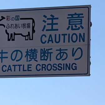 牛ファーストな道🐄