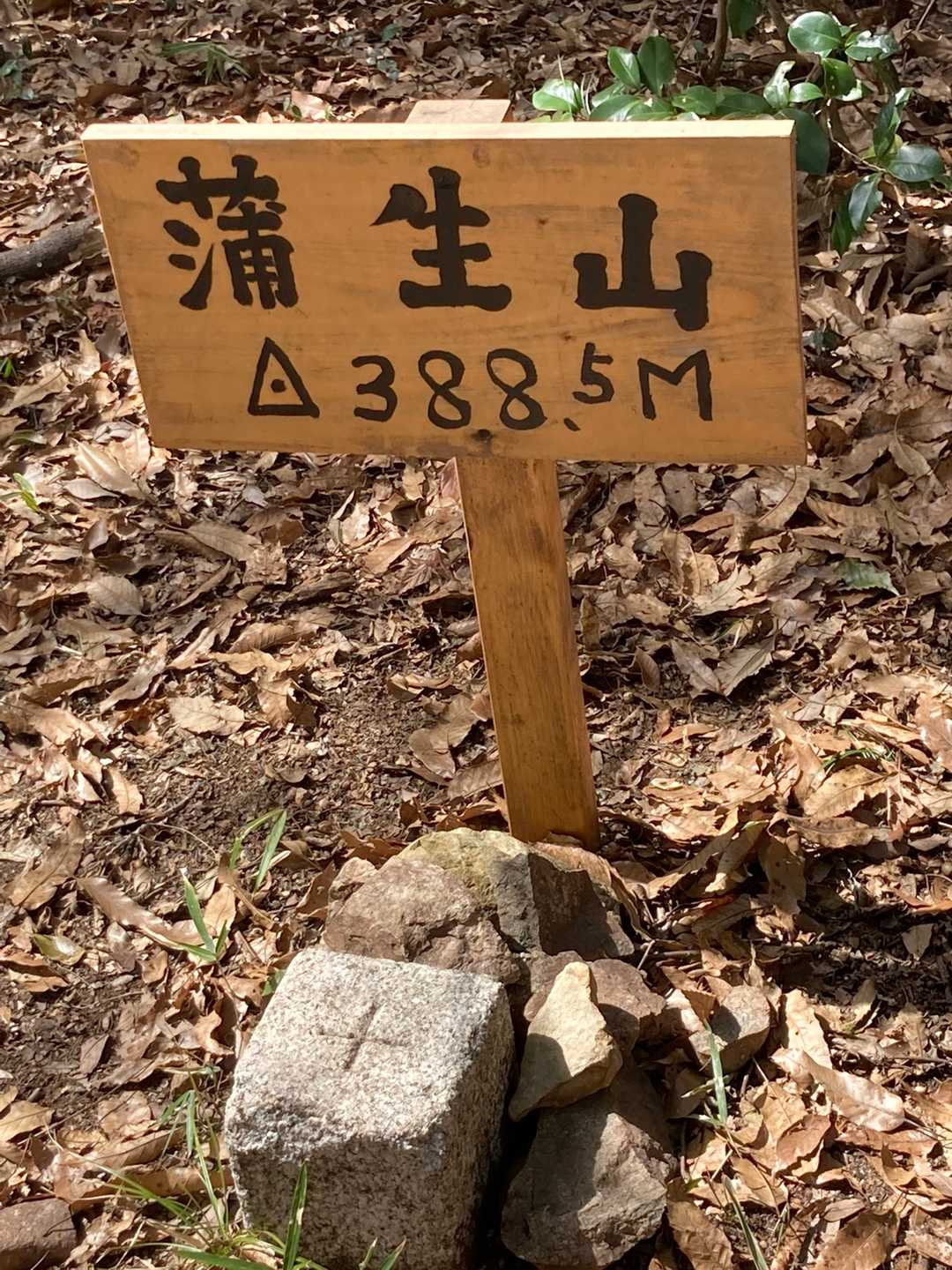 着いた！