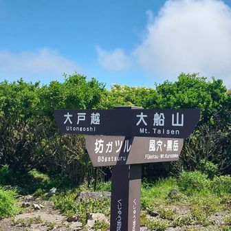 段原