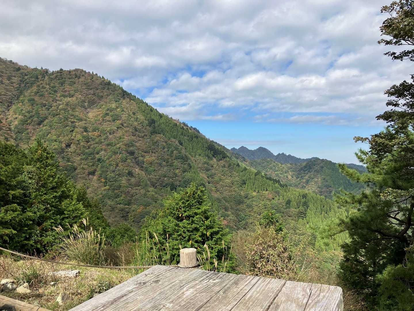 晴れてきた