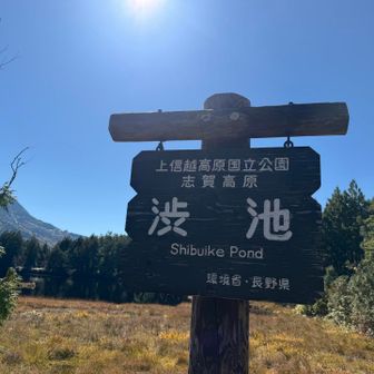 標高1800m にある渋池