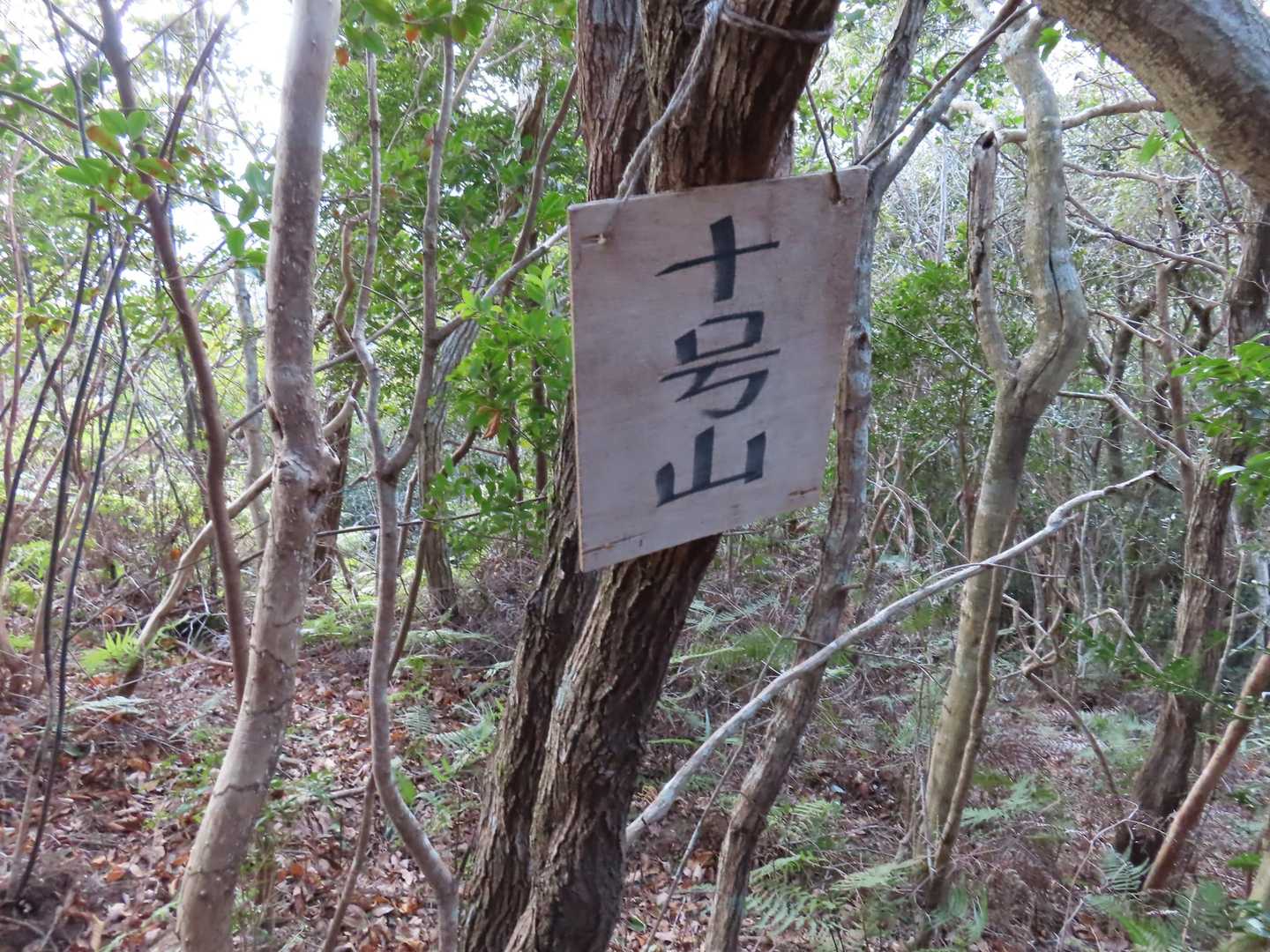 十号山って?
八号山や十二号山等近くにあるのですがバラバラで何を示してるのか分かりませんでした。