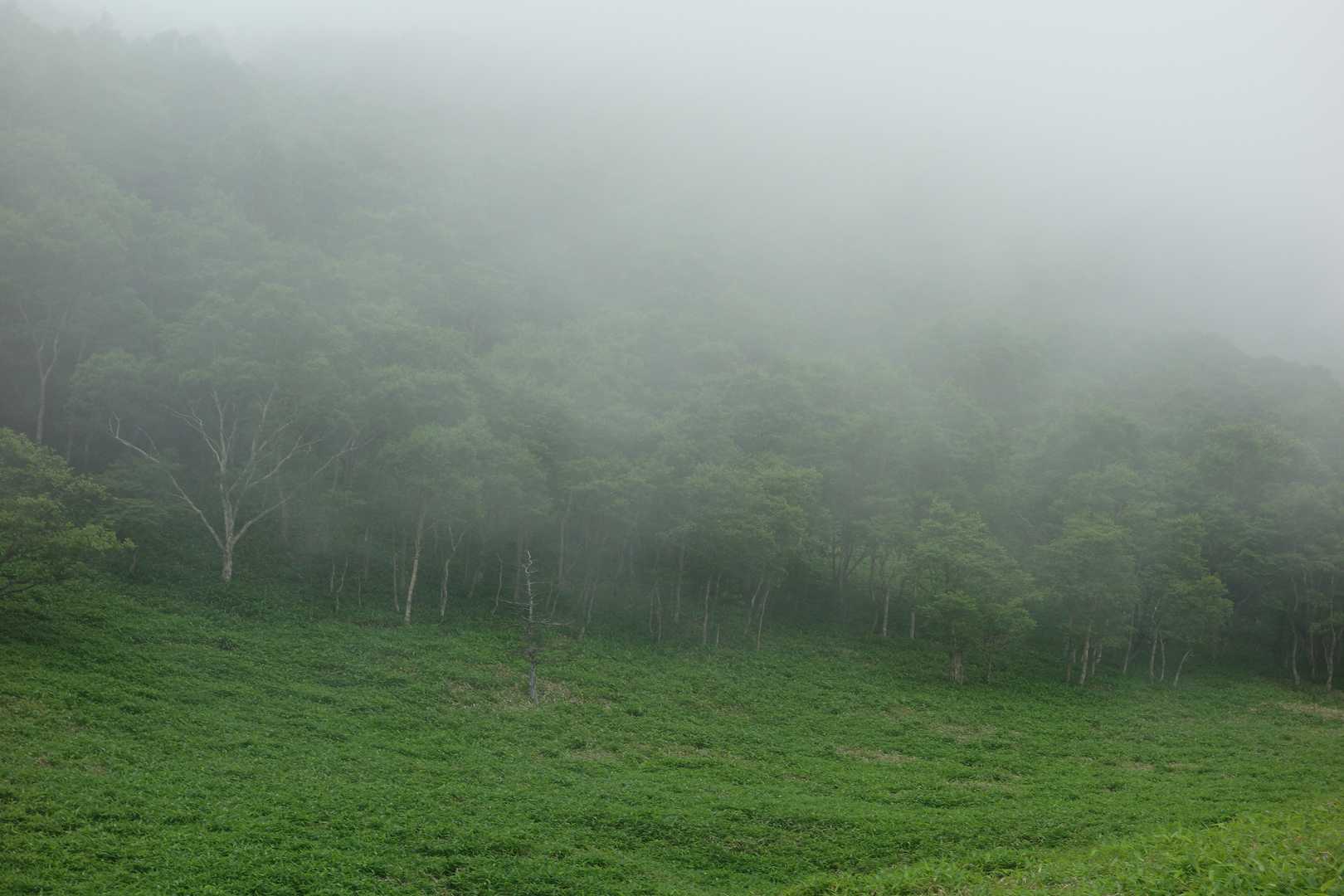 幻想的だなあ☁☁☁