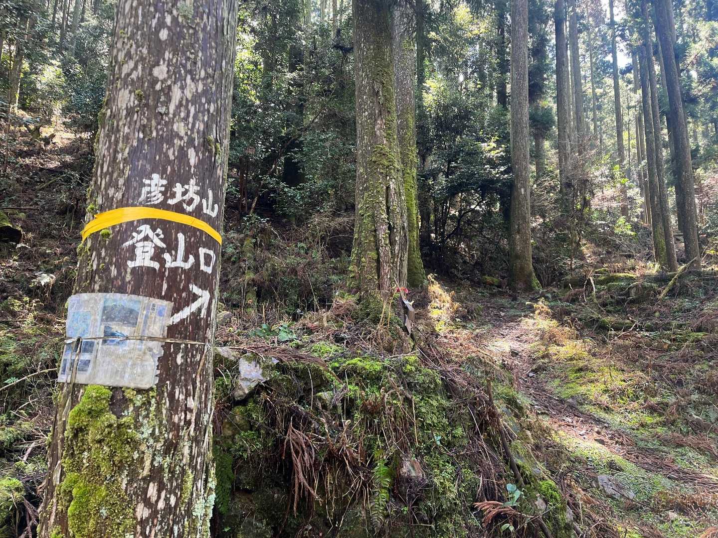 さて、登山口‼️