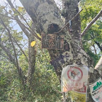 山頂票
ここから折り返し戻ります、