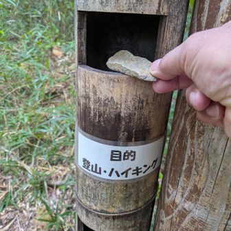 イタズラじゃなく石で回答してと言うので