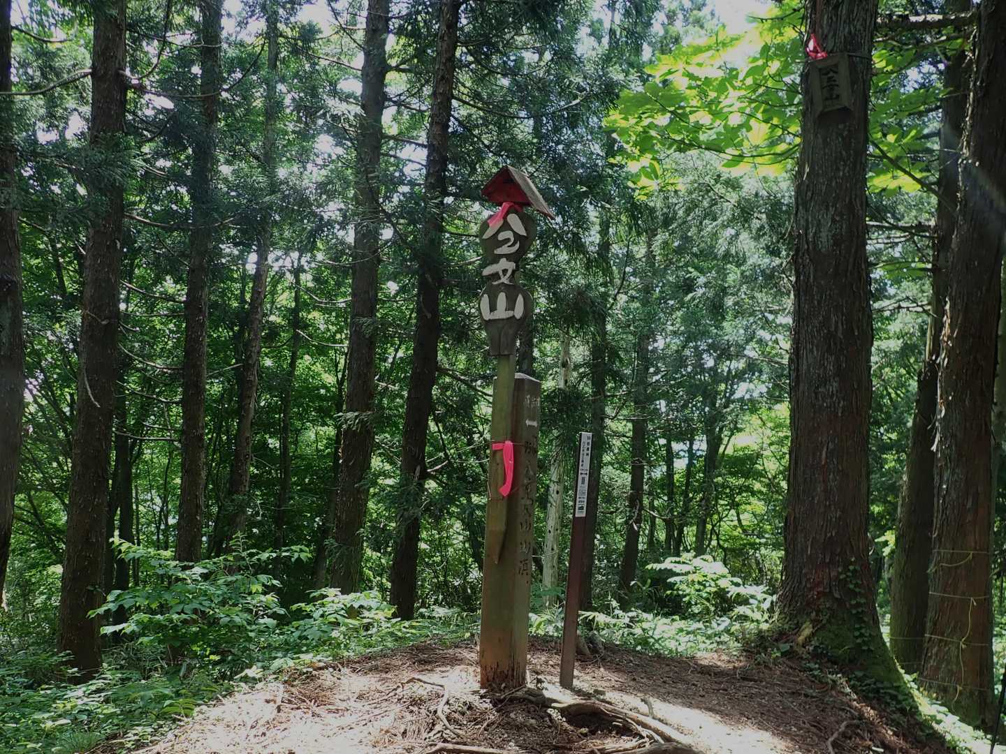 八乙女山山頂❣️