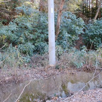 雌龍籠山は分かりずらいが、ここから登る