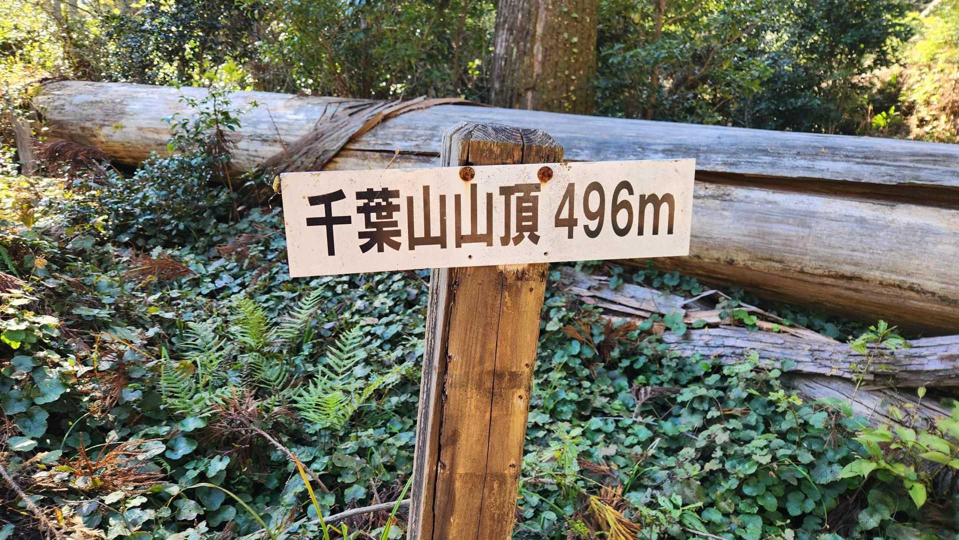 智満寺 往復コースの写真