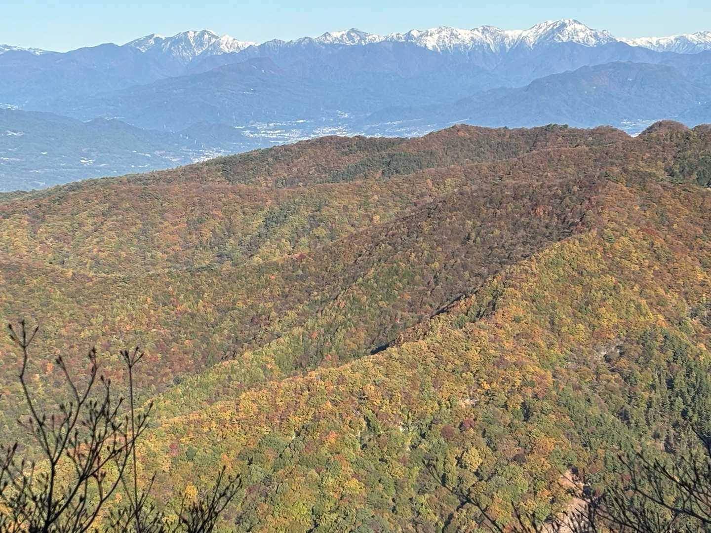 こちら側の紅葉のほうが進んでいる感じ。