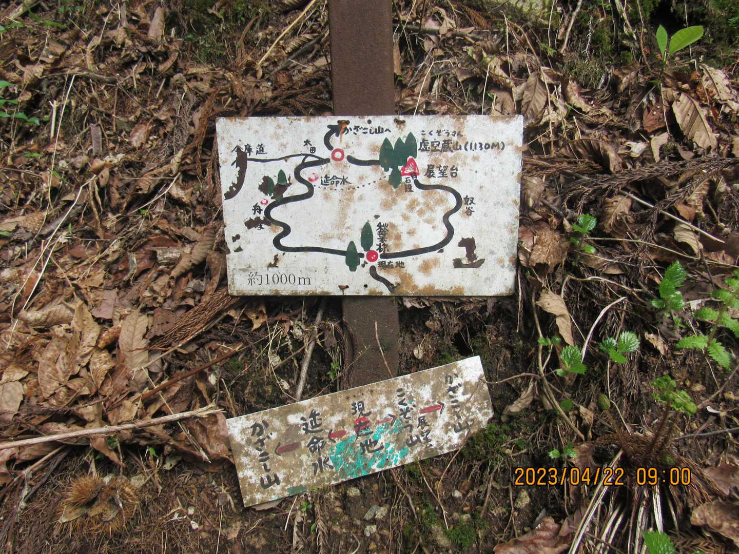 ルート地図絵　私たちは虚空蔵山経由で右へ進みます