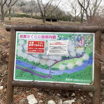 茨城はクマいないイメージですが
北部は栃木と福島に面してるのでツキノワグマも出る情報があります⚠︎😱