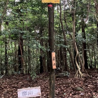 ５座目、靡山。
（なびきやま）