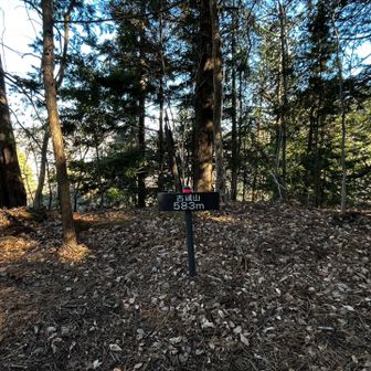 30分ほど暗い樹林帯をアップダウンして、六座目の古城山に到着