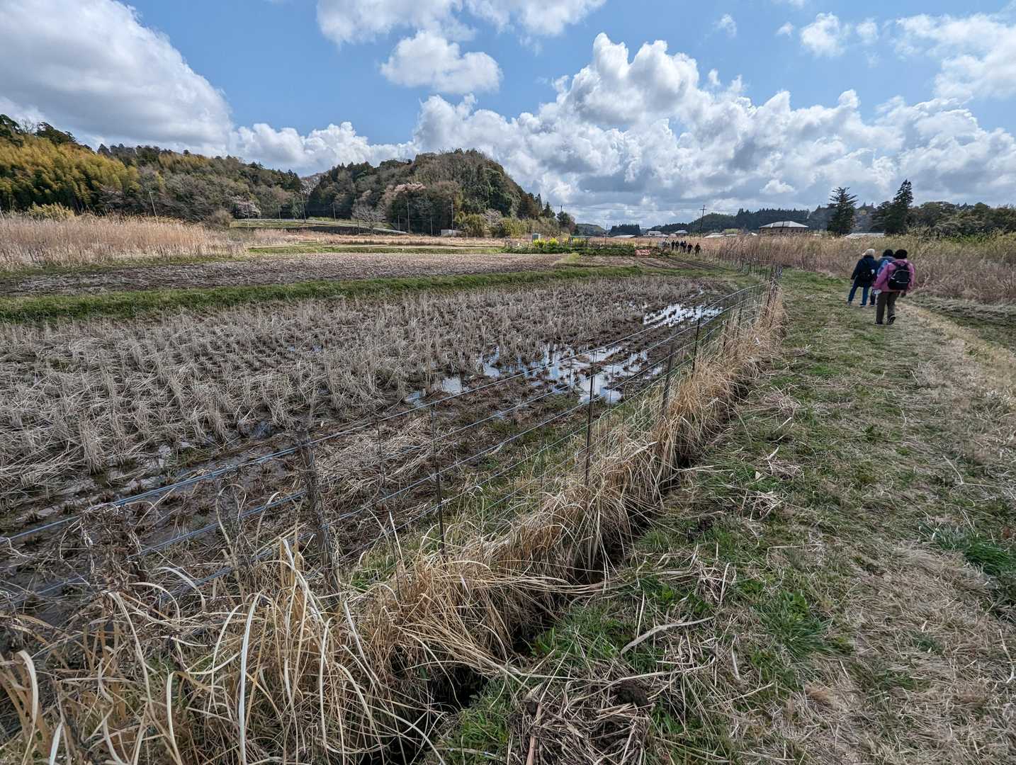 車道を極力回避した里山へのプロローグとしては好適なルートでした
