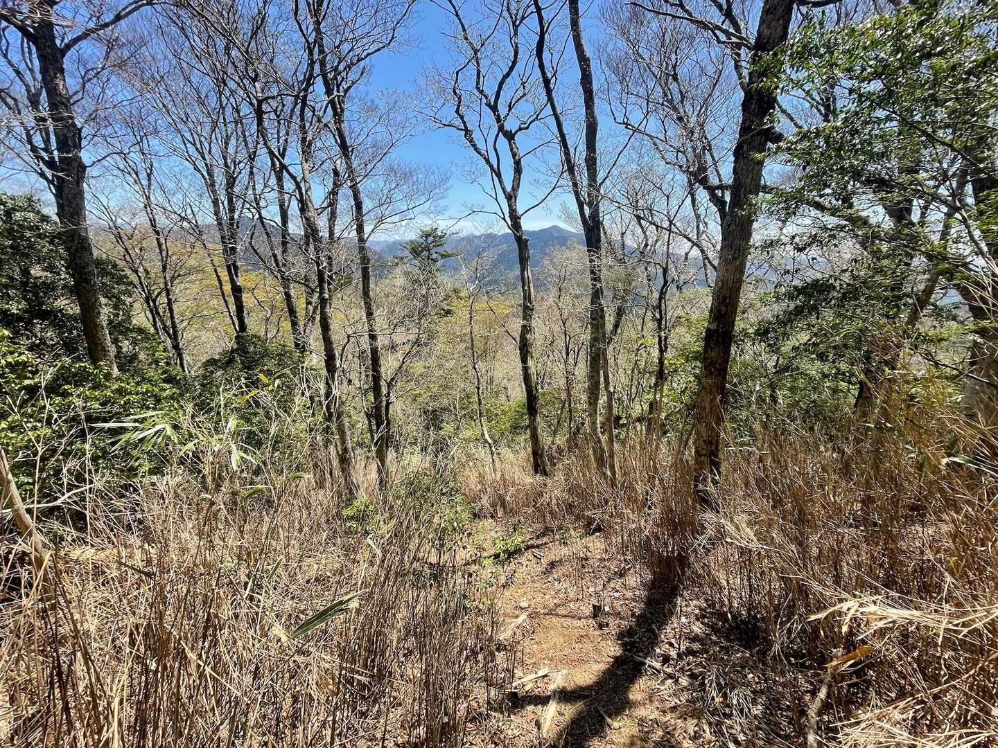 大金峰見ながら下山！
