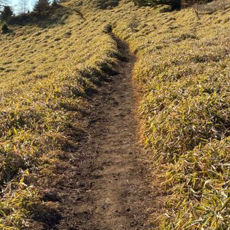 下山の登り返しは、少し辛い