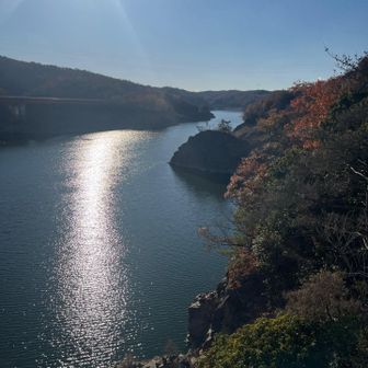湖面キラキラ✨衝原湖