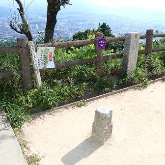 山頂到着