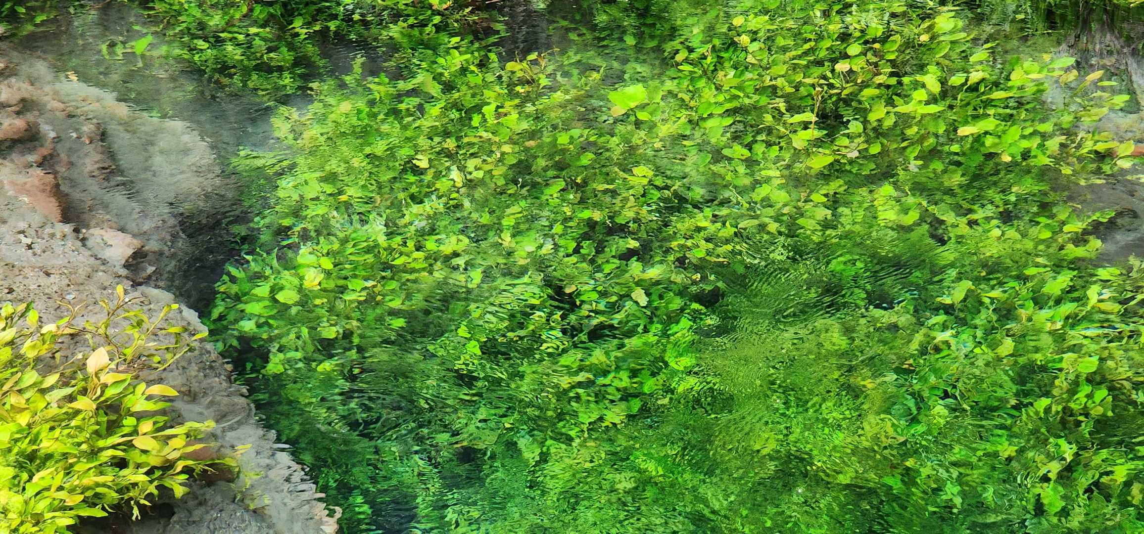 平治岳 男池コースの写真