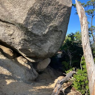 波線ルートから正規登山道に
