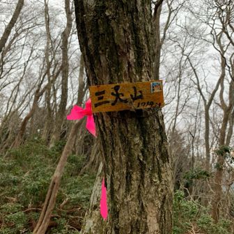 まず出てきたのは三人山
ちょっとしんどかった

登り始めはアップダウンあって割と楽に行けたけど、突然登らされた感じ

