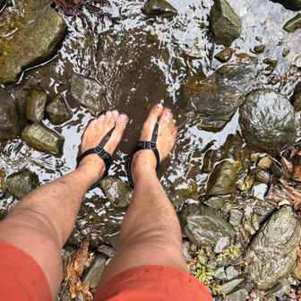 水が枯れててキレイキレイできませんでした😟