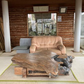 丸太のテーブルは🪵
大きい大木だね！