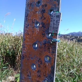 欅尾山とある地点
鉄塔が撤去されるというのはどういう事情なのだろう